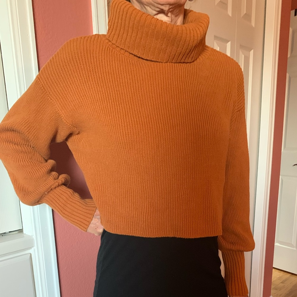 Cropped Turtleneck